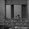 badr69261