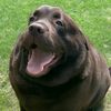 bigkazuh