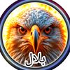 bilalofficial817