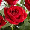 chumki.mondal55