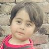 nasir.sial045