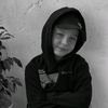 nzy16_1