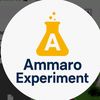 ammaroexperiments