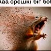 ali_58354