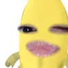 deyneeo20