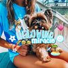 iigl0wingmiracle