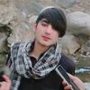 shahzadafridi3371