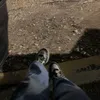 nr4.d0