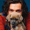 TOM HOLLAND