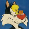 tweety_dor