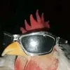 lazooooo_