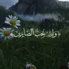 the__quran.n