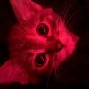 storyred6