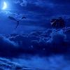 irina.nightstorm