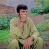 shehzadarehsnking626