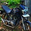 tigeranomaly