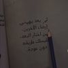 loujainammar160