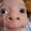 neveahisback