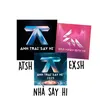 xoainhasayhi