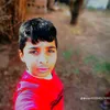 user86211763010186