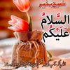 majid.jutt.1411