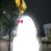 naflah556