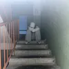 d1v3ss