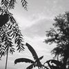 independen047