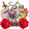 user2698763828124
