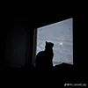 muathu_dayhoahong
