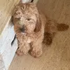 dogaba112