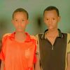 ibro20252