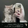user4261419881113