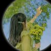 saifa.2.4