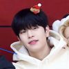 felixstraykids536