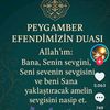 user3558116157293