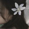 marisha1291