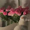 reema_.t4