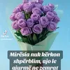 user.eva_009