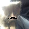 rratraaw_6