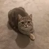 adamjdnimj0