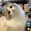 luna_rose33