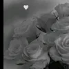 hafsa.honeyy