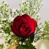hathiq2000