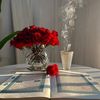 hajer.eldenaly