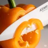 ambrosioduia