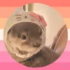 catsaremyonlytruefriends
