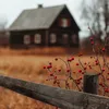 svetlana.svetlako4