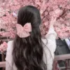 zhulia522