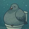 adrianpigeon67